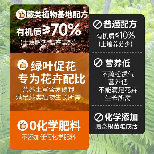 蕨类植物专用土营养土铁线蕨霸王蕨鹿角蕨狼尾蕨家用室内盆栽花土