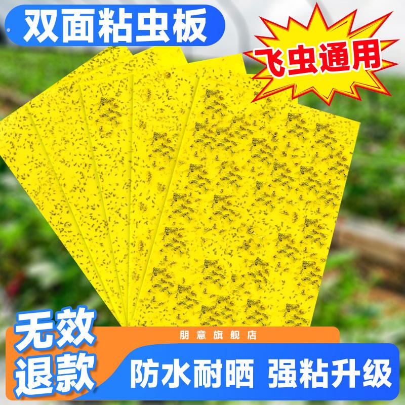 粘虫板大棚专用黄板双面小黑飞果蝇诱捕器诱虫板贴纸农用家用果园