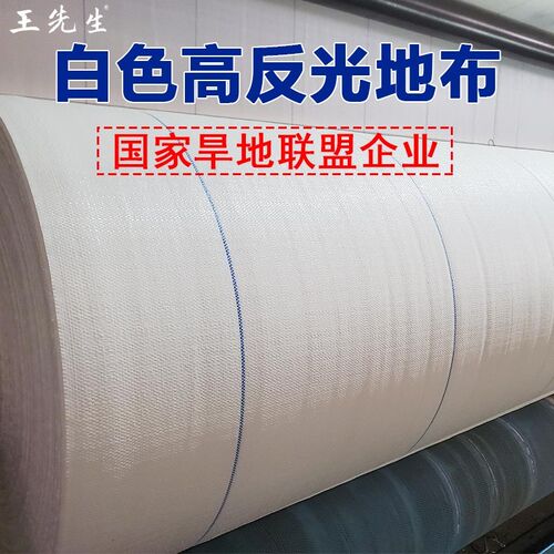 王先生园架草莓棚反光地布大棚农用新型高寿命高艺白色防草布温室