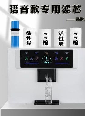 语音杀菌款净水滤加热一体机8寸2棉.4cmPP020厘米活性碳RO膜器芯