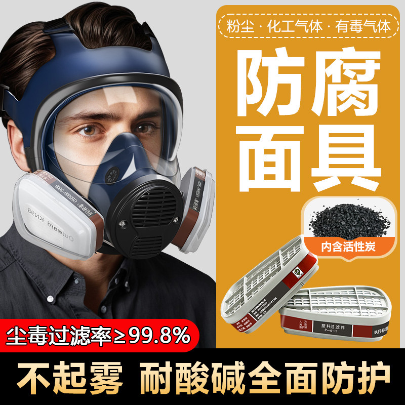 防酸实面罩防毒面具化工气体化学碱用室全脸防护喷漆专验防腐蚀放