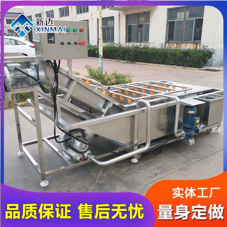 娃娃菜鼓泡清洗设备喷淋式竹笋清洗机304不锈钢清洗风干线