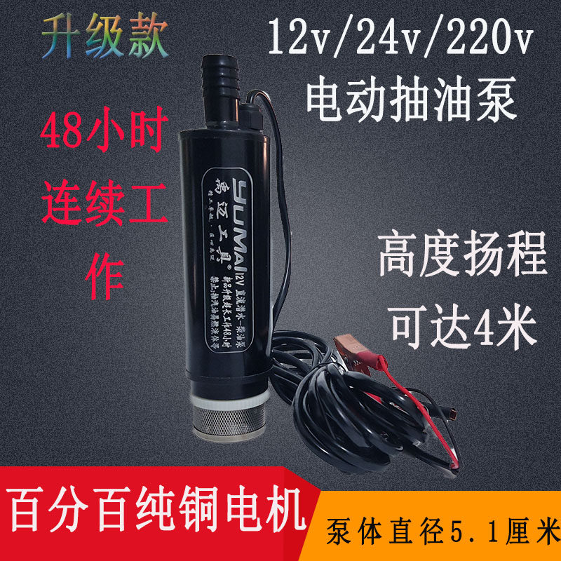 电动抽油泵12v24v220v家用小型柴油泵潜水加油泵自吸柴油泵油抽子