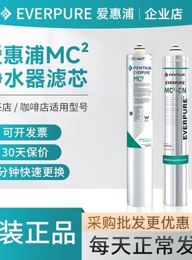 爱惠浦量c2滤芯商用原装通用直饮大流m净水器SA9件0720配5耗材