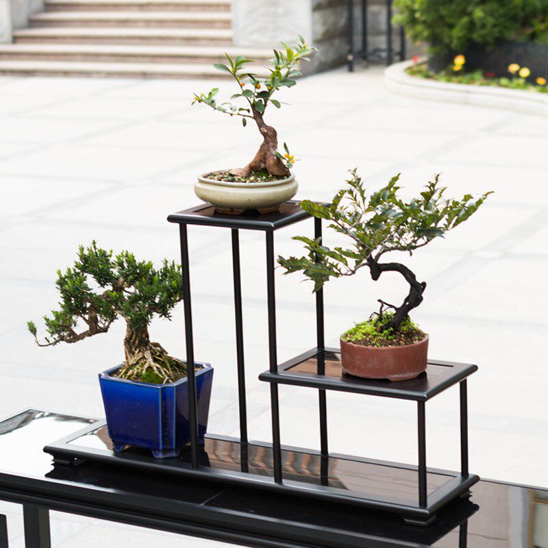 绿中式花架桌面植内架阳台多层新植架室物盆景架铝合金欧式花几