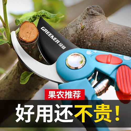 绿林修枝剪果树剪树枝专用剪刀园艺花卉盆栽花卉花艺省力剪家用剪