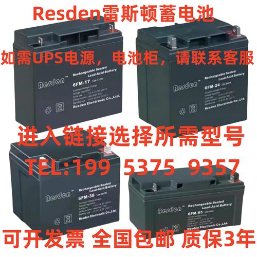 Resden雷斯顿蓄电池6FM-38 12V7AH17AH24AH38AH65AH100AH消防/UPS