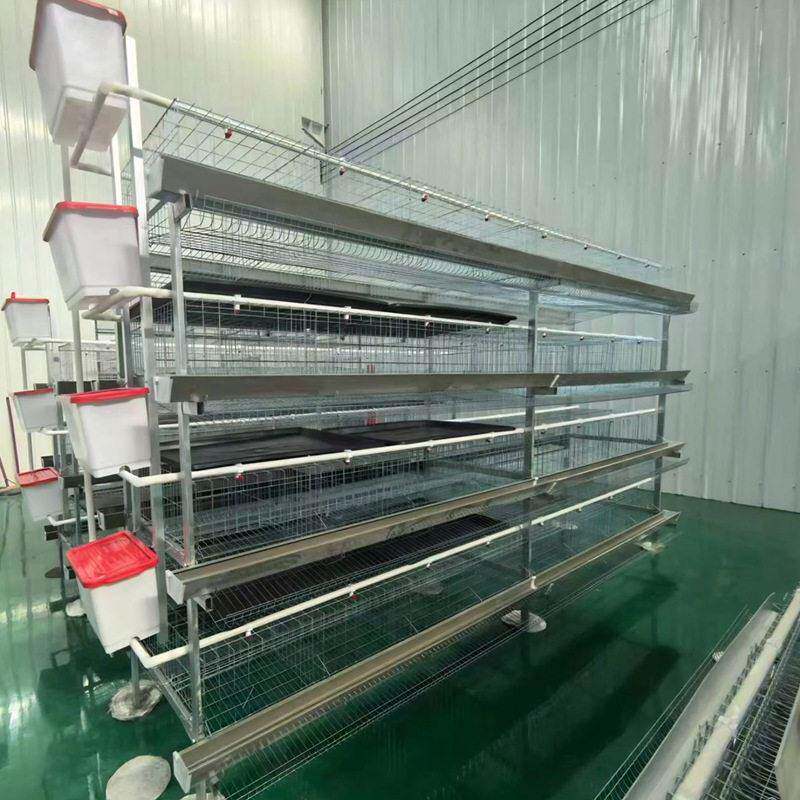 立体式粪盘蛋鸡笼养殖框架镀锌材质多层立体养殖笼蛋鸡养殖鸡笼