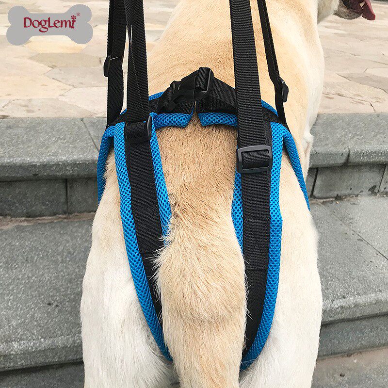 宠物辅助安全带牵引后腿无力肌肉萎缩高龄病犬残疾犬步行助力带