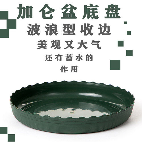 加仑盆三代网底塑料花盆矮胖加仑花盆多肉绿萝阳台家用月季花盆