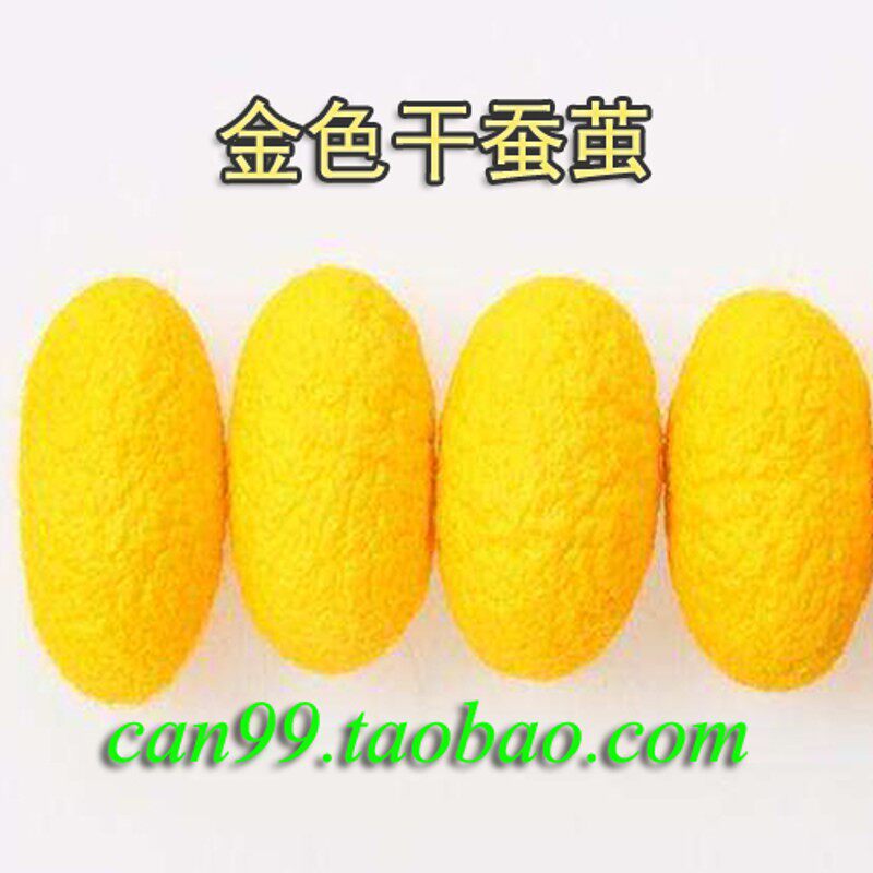 金丝蚕卵吃桑叶结金色丝蚕种28000粒一盒包邮另有红绿蚕卵大量供