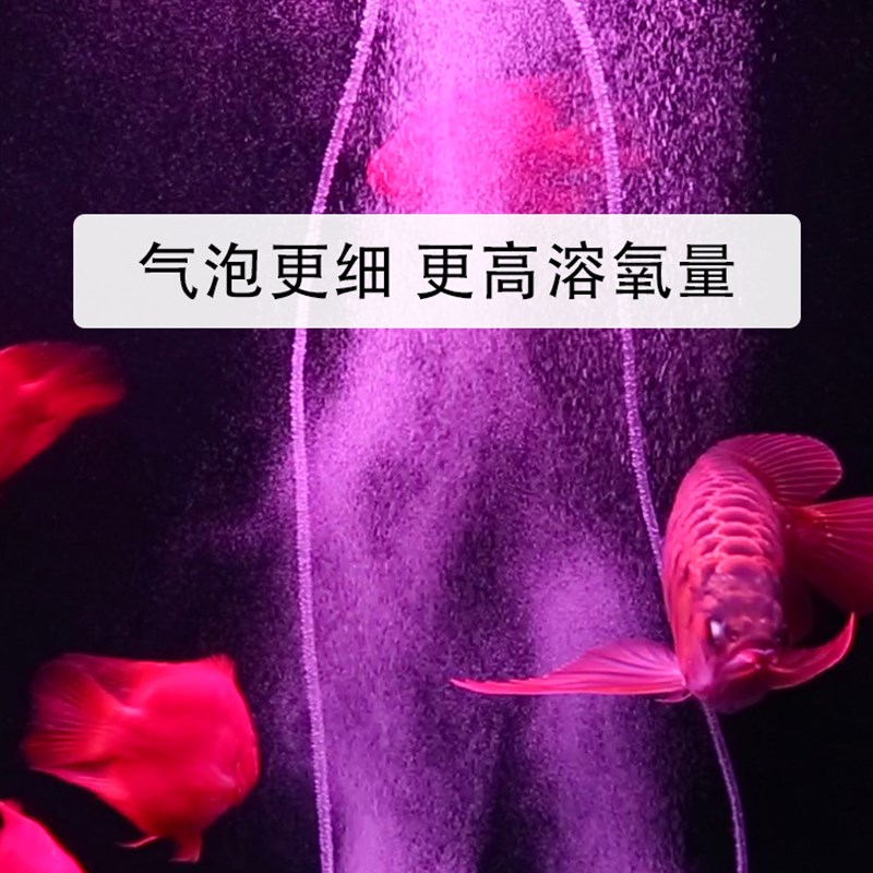 老渔匠纳米气泡石气盘静音细化器爆氧雾化气条气管气盘石纳米气盘