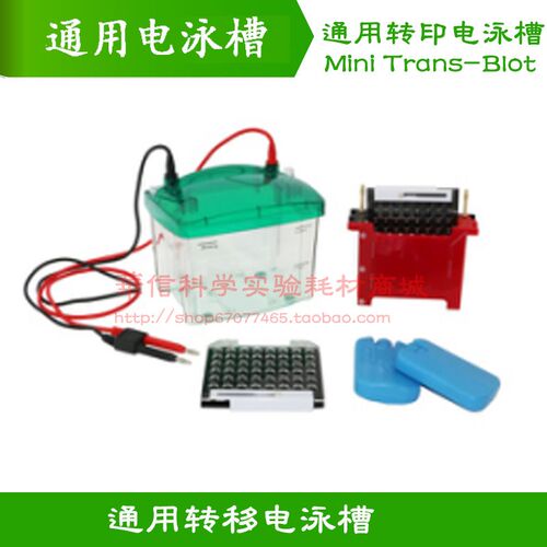 通用伯乐bio-rad Mini Trans-Blot Cell小型电泳转印槽1703930