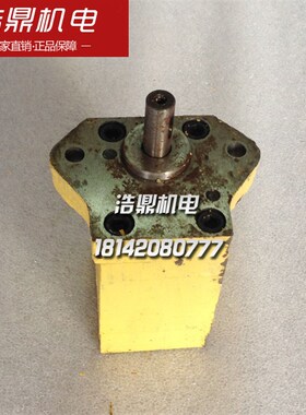 正品杭州机牀厂M7120平面磨牀 配件 双联油泵