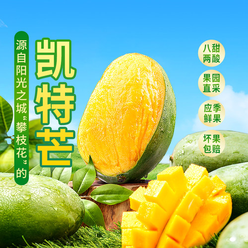 东方甄选四川攀枝花凯特芒4.5斤
