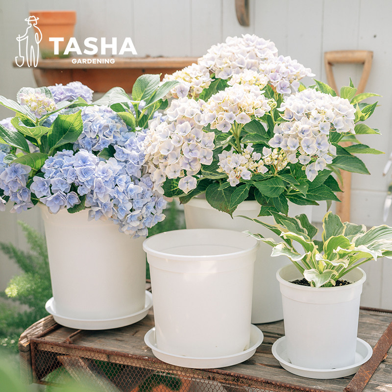 塔莎的花园 全新料树脂加仑盆植也月季绣球黄金葛日系圆盆塑料花