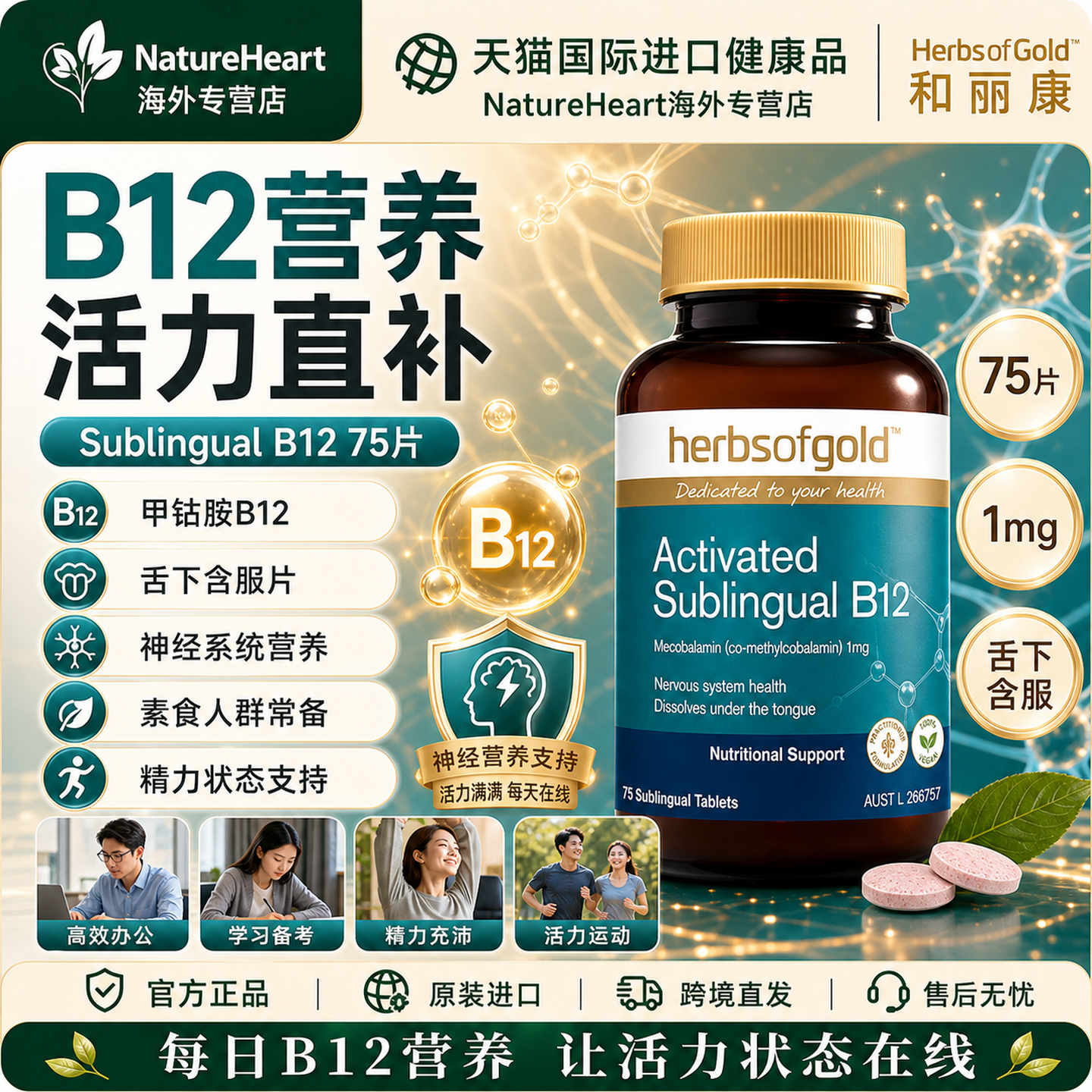 和丽康B12熬夜精力备考