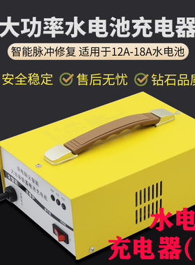 电动三轮四A车充电器41伏60V72V12A85轮18安水电池充机智能大功率