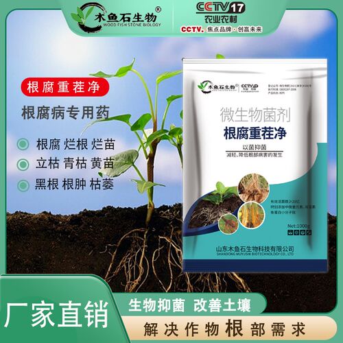 根腐快克枯草芽抗菌杆菌孢重茬死苗烂根枯萎黄萎猛生物微生根菌剂