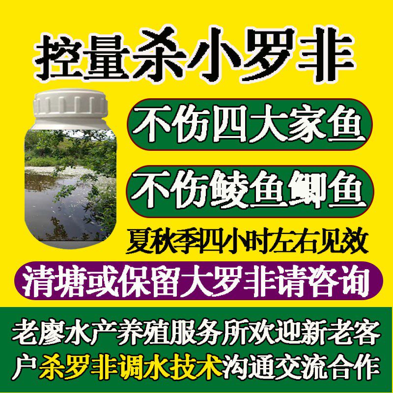 专杀罗非鱼药杀小罗非清罗非速杀罗飞仔罗非克星鱼塘钓场杀小罗非 - 实物图