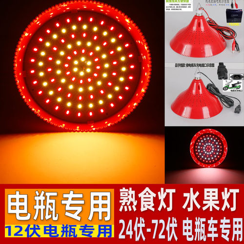 果2V电瓶用熟食灯水1灯卤肉卤菜灯48v60V72伏电动三轮车低压lde灯