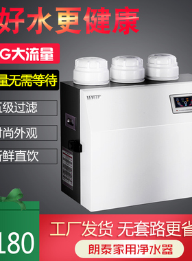 朗泰净水器家用直饮净水机自来水过净器 RO反巨透滤水机朗泰渗能3