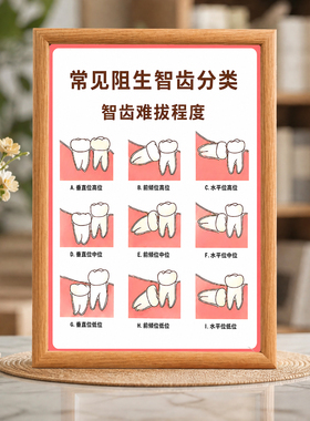 常见阻生智齿分类装饰画牙科诊所口腔知识宣传实木相框摆台