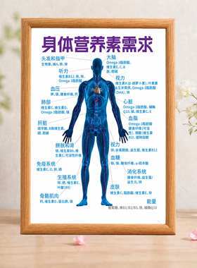 身体各部位营养素需求知识装饰画养生书房桌面实木框摆画