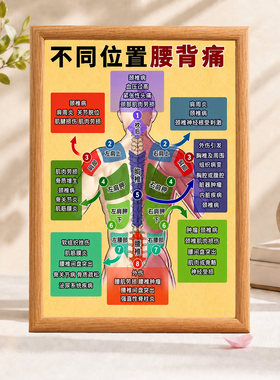 不同位置腰背痛科普知识相框中医馆养生馆理疗室装饰画