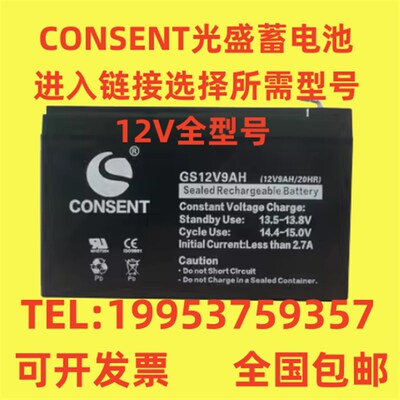 CONSENT光盛蓄电池GS-12V7A9A12A17A20A24A38A65A100AH消防/UPS