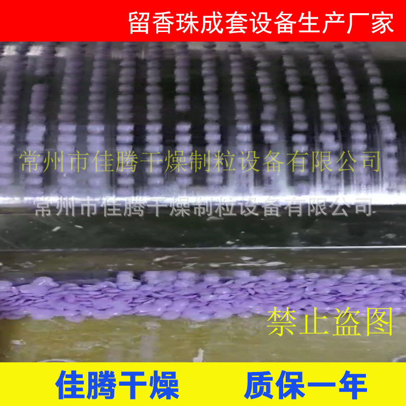 洗衣留香珠香豆成型造粒机厂家