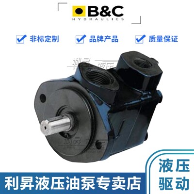 原装意大利B&C液压叶片泵B2G