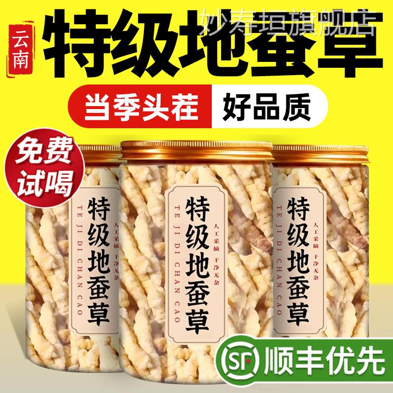 中特级新鲜地蚕草野生药材宝塔菜白虫草云南干货正品官方旗舰店zz