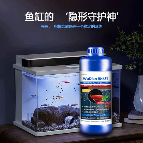鱼缸硝化菌净水除藻稳水质