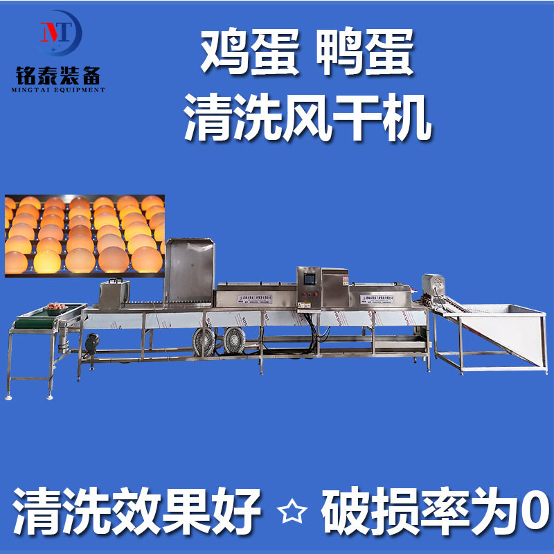 山鸡蛋快速清洗机适用范围