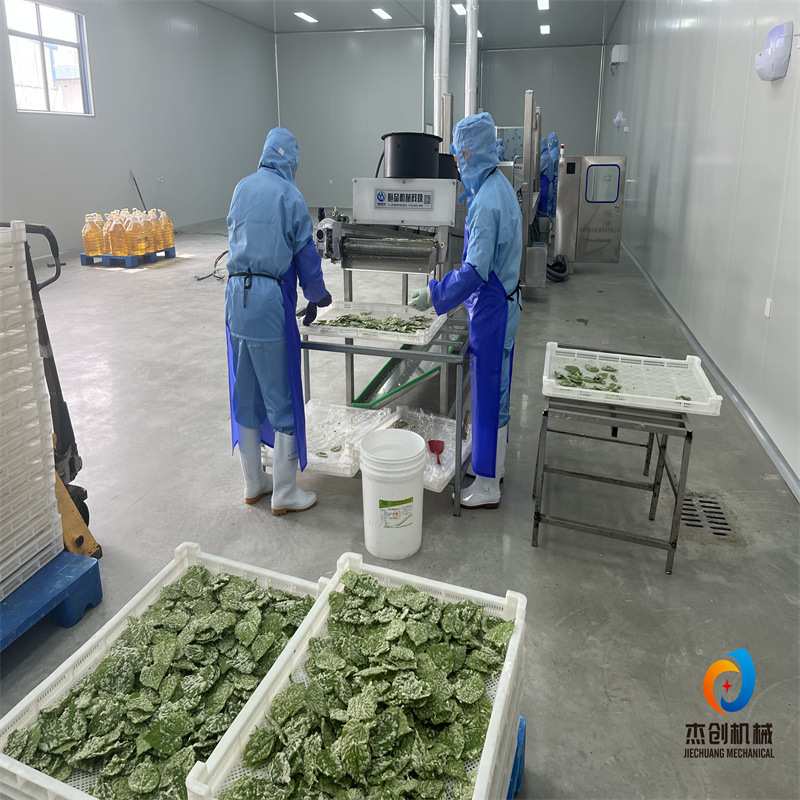 干桑叶挂浆机 瀑布式蔬菜类上浆设备 香酥翠叶上浆机器杰创制造