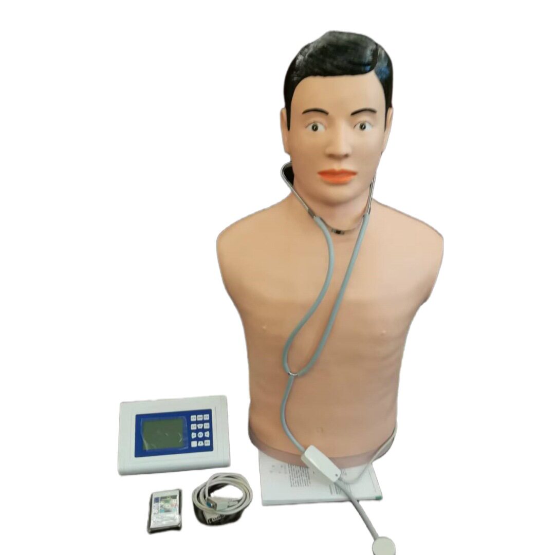 上海生产数字遥控式心肺听诊触诊模拟人腹部听诊模型呼吸音