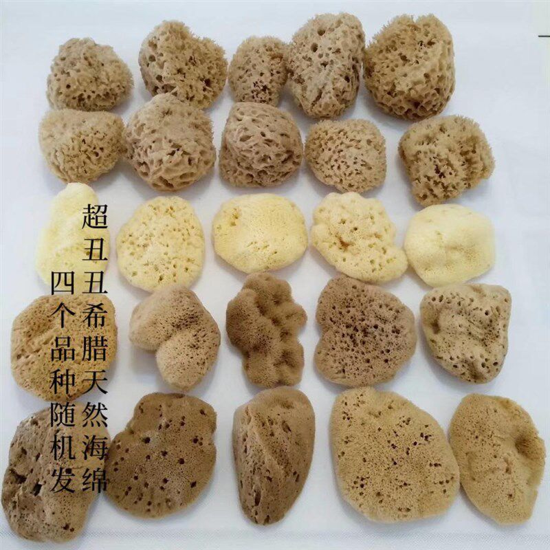 超丑丑海绵甩g卖希腊天然沐浴球蜂窝海藻绵洗泥膜洗脸洗澡