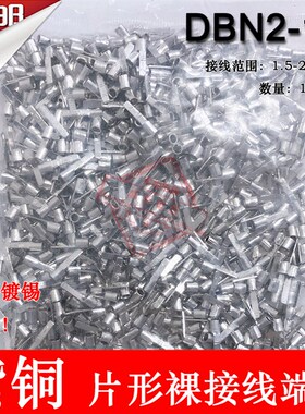 紫铜 DBN2-10 片接裸端头 冷压片形形线端子 插片鼻线 子