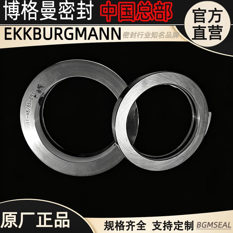 H8-双轮铣液压马达机械密封件H8-55轴封原装进口厂家耐高温密封圈