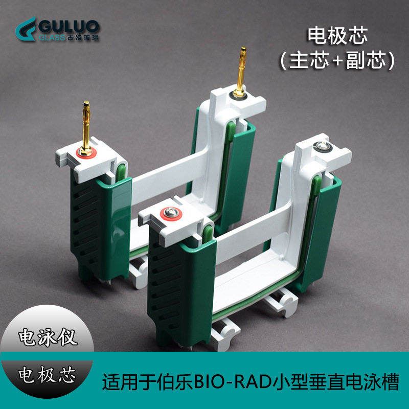 适用伯乐电泳槽电极芯主/副