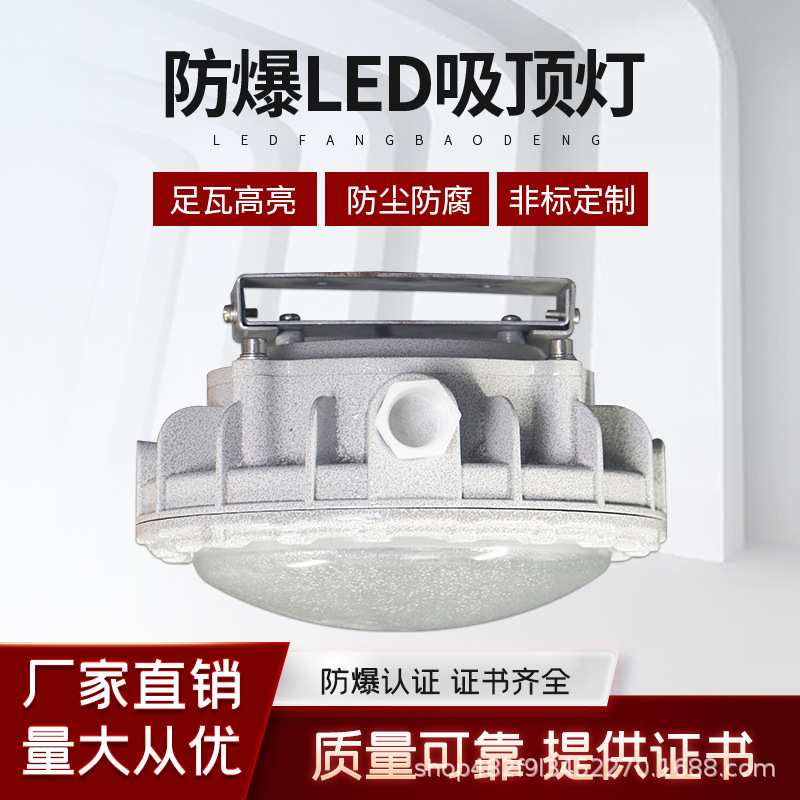 新黎明防爆吸顶灯36v24v国标应急三防IP66免维护压铸吸顶安装LED