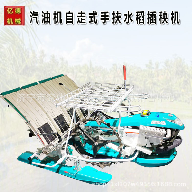 湖南热销6行高速水稻插秧机汽油机带动手扶车插秧机水稻禾苗机