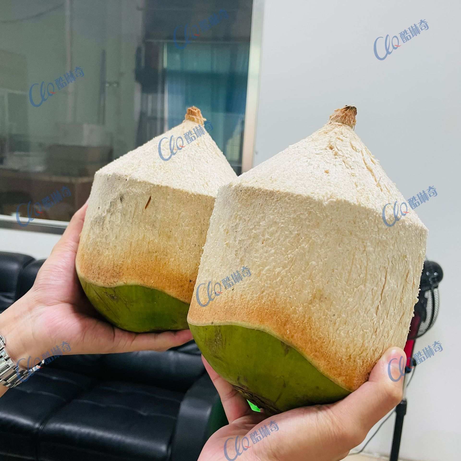 全自动连续式椰青削皮机 新鲜椰子去皮机 嫩椰子剥皮机削椰子设备