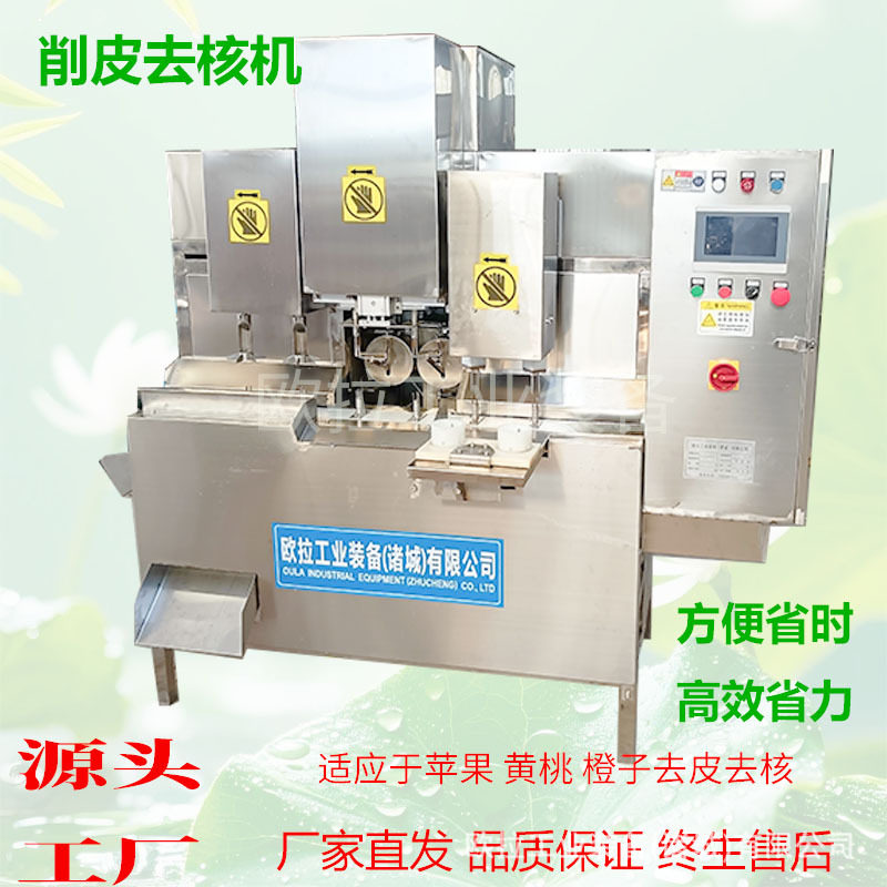 商用全自动水果去皮去核分瓣机