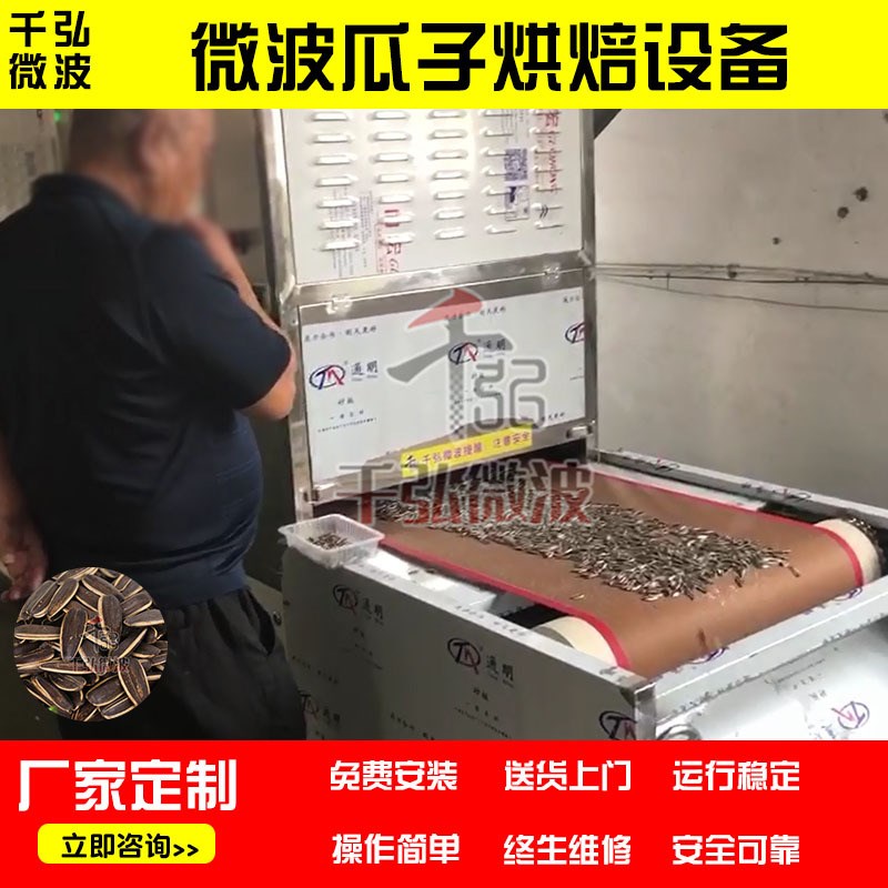 原味瓜子微c波熟化隧道式流水线连续式烘焙瓜子微波加工设备