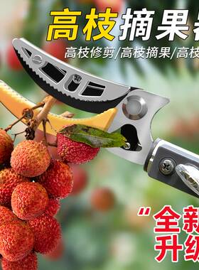 摘水果神器伸缩杆高空摘果器加长修枝剪刀采摘荔枝龙眼杨梅高枝剪