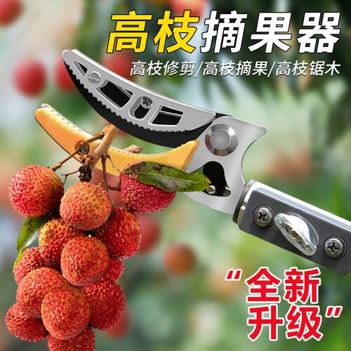摘水果神器伸缩杆高空摘果器加长修枝剪刀采摘荔枝龙眼杨梅高枝剪