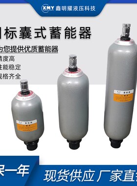 液压囊式蓄能器超值NXQA2.5-6.3-10-25-20-31.5-L-Y奉化储能器