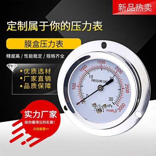 轴向带边膜盒压力表YE60ZT 不锈钢微压表KPa面板安装燃气表千帕表